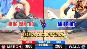 Trận 28 CPC3 6/7/2025 - Hưng Cần Thơ Vs Anh Phát