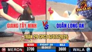 Trận 29 CPC3 6/7/2025 - Giang Tây Ninh Vs Anh Quân Long An