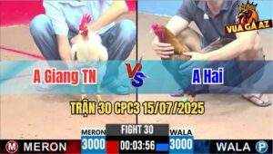 Trận 30 CPC3 15/07/2025 - Anh Giang Tây Ninh Vs Anh Hai