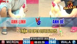 Trận 31 CPC1 31/7/2025 - Gà Bướm Anh Linh Đá 1 Tăng Đâm Ói Đối Thủ