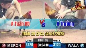 Trận 39 CPC3 14/07/2025 - Gà Anh Tuấn Bình Dương Nạp Siết Tốc Độ