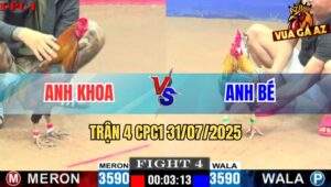 Trận 4 CPC1 31/7/2025 - Gà Cú Anh Khoa Nhấp 3 Chân Hạ Sát Gà Anh Bé