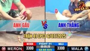Trận 41 CPC3 6/7/2025 - Anh Gấu Vs Anh Thắng Bến Tre