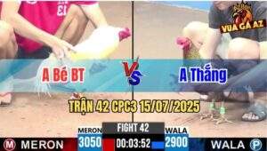 Trận 42 CPC3 15/07/2025 - Anh Bé Bến Tre Vs Anh Thắng