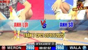 Trận 7 CPC1 31/7/2025 - Anh Lợi Đồng Tháp Và Anh Sò Mộc Hoá