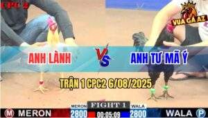 Trận 1 CPC2 6/8/2025 - Anh Lành Vũng Tàu Mở Bát Đụng Độ Anh Tư Mã Ý