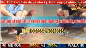 Trận 10 CPC5 24/8/2025 - Gà Khét Quá Trâu Điều Đâm Không Thấm