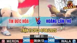 Trận 11 CPC3 4/8/2025 - Gà Anh Hoàng Cần Thơ Đá Bướm Anh Tin Tốc Chạy