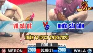 Trận 14 CPC3 4/8/2025 - Gà Khét Ăn Tới Anh Vũ Sửa Gà Để Bỏ Ô Hòa Tang