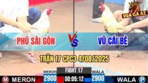 Trận 17 CPC3 4/8/2025 - Anh Phú Sài Gòn Đụng Anh Vũ Cái Bè