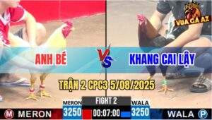 Trận 2 CPC3 5/8/2025 - Anh Bé Bao Bồ Trên Dưới Gần Tỷ Bắt Gà Xin Thua