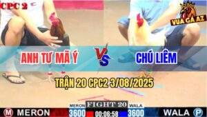Trận 20 CPC2 3/8/2025 - Gà Điều Anh Tư Mã Ý Hạ Úa Chú Liêm Nhanh Gọn