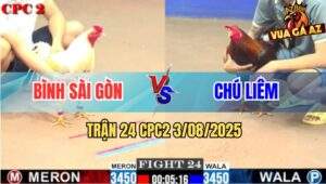 Trận 24 CPC2 3/8/2025 - Điều Cọp Chú Liêm 2 Sút Hạ Gà Bướm Anh Bình