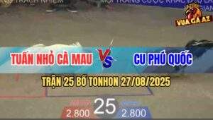 Trận 25 Bồ TonHon 27/8/2025 - Anh Tuấn Nhỏ Cà Mau Và Anh Cú Phú Quốc