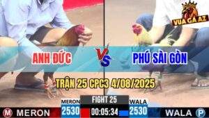 Trận 25 CPC3 4/8/2025 - Chuối Chân Xanh Anh Phú Đâm Cựa Nóng Lạnh
