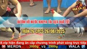 Trận 26 CPC5 26/8/2025 - Bướm Hồi Mã Thương Đá Điều Há Hốc Mồm