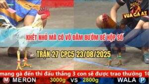 Trận 27 CPC5 23/8/2025 - Khét Kém 2 Chấm Đâm Bướm Không Kịp Nhấc Chân