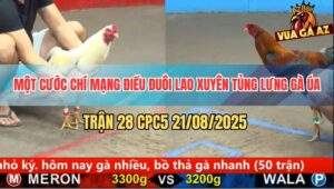 Trận 28 CPC5 21/8/2025 - Điều Đuôi Lao Xuyên Lủng Lưng Gà Úa