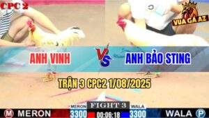 Trận 3 CPC2 1/8/2025 - Gà Bướm Anh Vinh Đá Úa Hiệu Bảo Sting Chìm Cần
