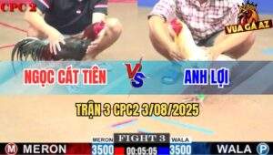 Trận 3 CPC2 3/8/2025 - Điều Chân Trắng Đuôi Lao 1 Sút Bướm Hộc Máu