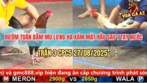 Trận 3 CPC5 27/8/2025 - Bướm Siết Một Hơi Xám Mặt Râu Nằm Một Đống
