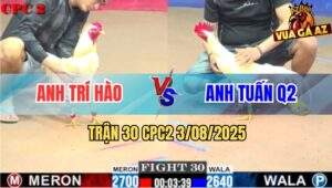 Trận 30 CPC2 3/8/2025 - Anh Trí Hào Và Anh Tuấn Quận 2