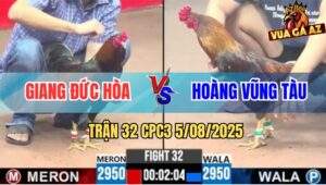 Trận 32 CPC3 5/8/2025 - Gà Anh Giang Đức Hòa Đá Còn Ăn 1 Vẫn Bị Phản