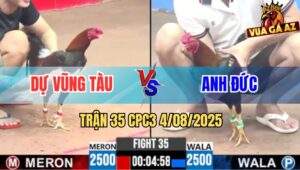 Trận 35 CPC3 4/8/2025 - Anh Dự Vũng Tàu Đụng Anh Đức