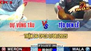 Trận 36 CPC2 3/8/2025 - Anh Tèo Đen Rút Ngắn Tỷ Số Với Anh Dự Còn 1-2