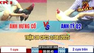 Trận 38 CPC2 3/8/2025 - Bướm Anh Tý Q2 Kém 7 Chấm Đá Gà Điều Gãy Cổ