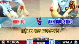 Trận 39 CPC2 6/8/2025 - Xám Chuối Anh Bảo Sting Nhỏ Ký Đá Bự Tốc Chạy