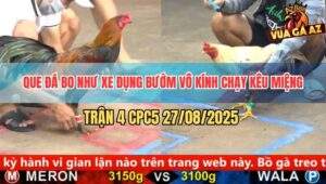 Trận 4 CPC5 27/8/2025 - Que Đá Chân Nào Thấm Chân Đó Bướm Chạy La Làng
