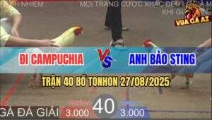Trận 40 Bồ TonHon 27/8/2025 - Anh Bảo Sting Gặp Anh Đi Campuchia