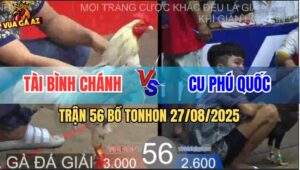 Trận 56 Bồ TonHon 27/8/2025 - Anh Tài Bình Chánh Và Anh Cu Phú Quốc