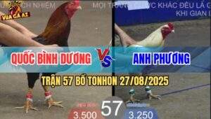 Trận 57 Bồ TonHon 27/8/2025 - Bảo Sting Thả Giùm Bị Đá Trào Máu Họng