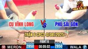 Trận 6 CPC3 4/8/2025 - Anh Cu Vĩnh Long Và Anh Phú Sài Gòn