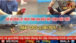 Trận 7 CPC5 22/8/2025 - Cú Kêu Điều Tử Chỉ Sau 3 Chân Nạp