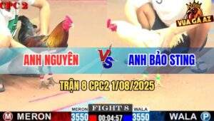 Trận 8 CPC2 1/8/2025 - Anh Bảo Sting Đầu Tháng Gãy 5 Trận Liên Tiếp