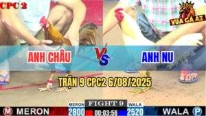 Trận 9 CPC2 6/8/2025 - Úa Hiệu Anh Nu Nhỏ Mà Đâm Bự Nhặt Cựa Không Kịp