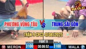 Trận 9 CPC3 4/8/2025 - Anh Phương Vũng Tàu Và Anh Trung Sài Gòn