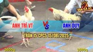 Trận 15 CPC5 Ngày 15/08/2025