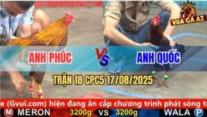 Trận 18 CPC5 Ngày 17/8/2025