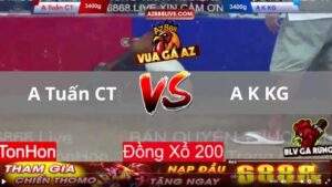 Trận 2 Tonhon 13_08_2025 - Gà Úa Có Trận Đấu Đầy Quả Cảm Trước Gà Điều