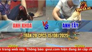 Trận 28 CPC5 Ngày 15/08/2025