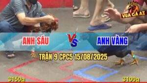 Trận 9 CPC5 Ngày 15/08/2025