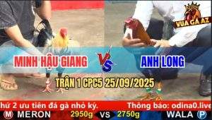Trận 1 CPC5 25/9/2025 - Điều Cọp Anh Long Mở Bát Bị Đối Thủ Đá Què Giò