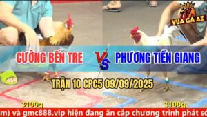 Trận 10 CPC5 9/9/2025 - Anh Cường Bến Tre Và Anh Phương Tiền Giang