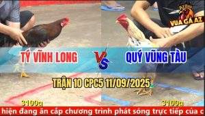 Trận 10 CPC5 11/9/2025 - Anh Tý Vĩnh Long Và Anh Quý Vũng Tàu