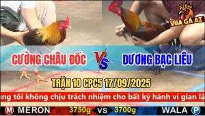 Trận 10 CPC5 17/9/2025 - Anh Cường Châu Đốc Và Anh Dương Bạc Liêu