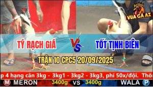 Trận 10 CPC5 20/9/2025 - Anh Tý Rạch Giá Và Anh Tốt Tịnh Biên